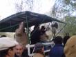 Ver video